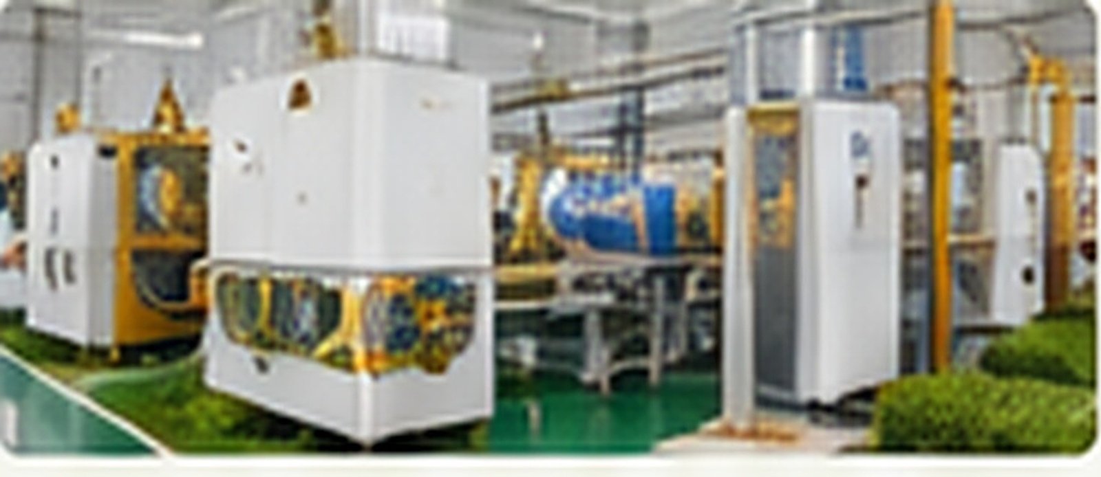 Garlic processing equipment