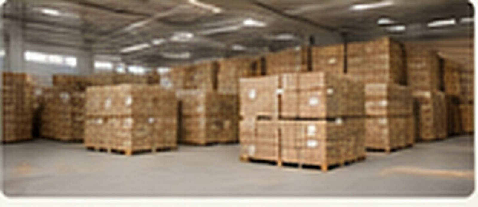 Garlic warehouse and inventory