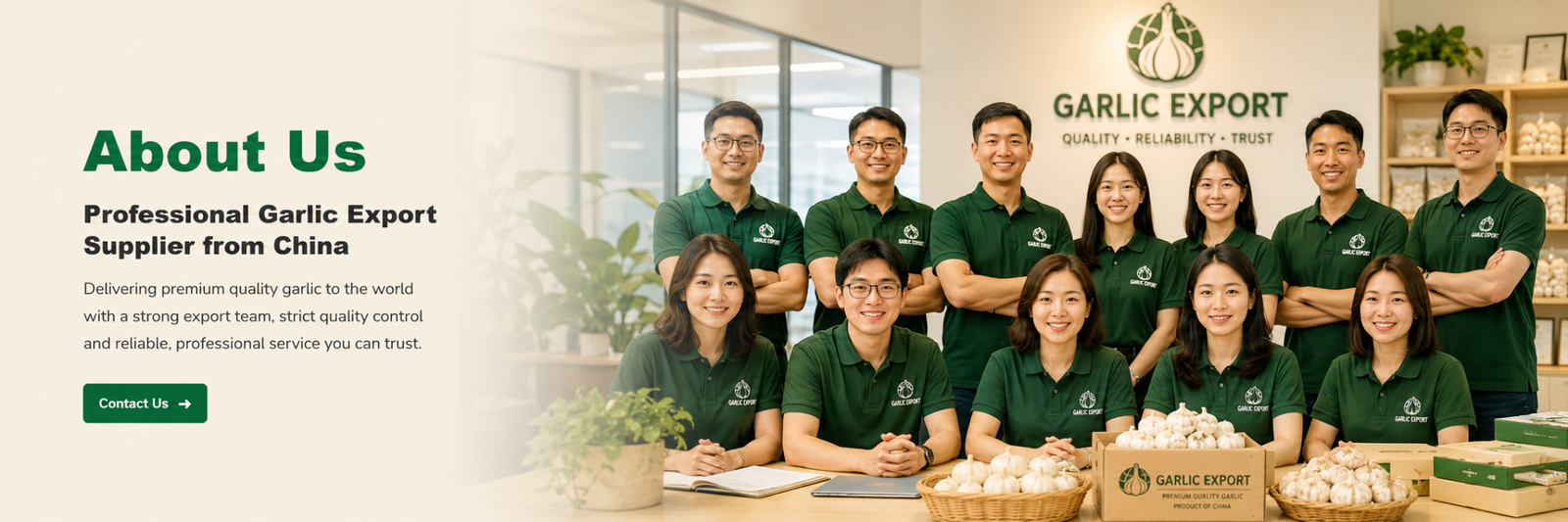 Allium Garlic Export team and About Us introduction