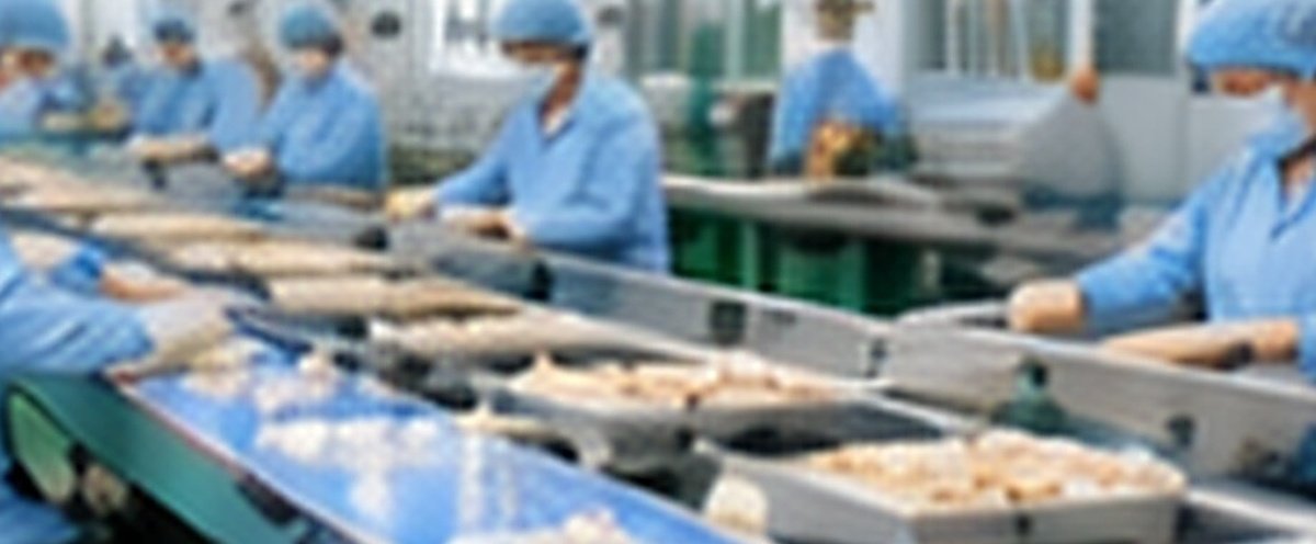 Garlic production line workshop video poster