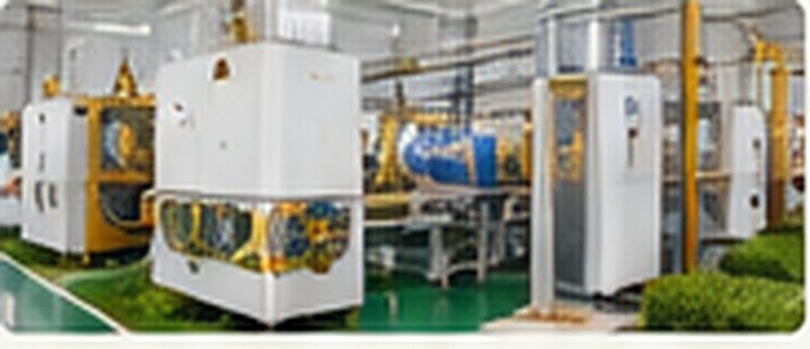 Garlic processing equipment