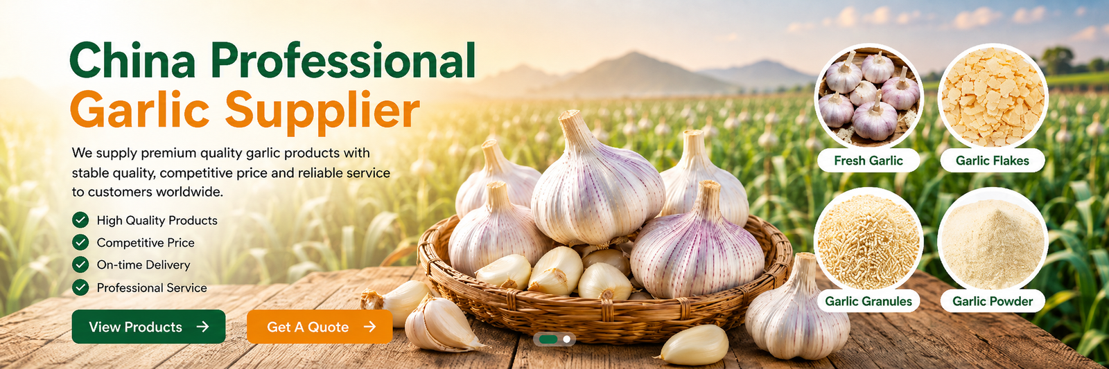 China Professional Garlic Supplier banner 1